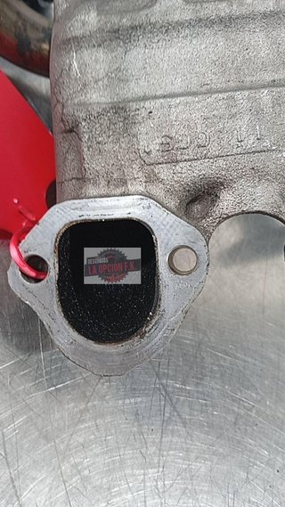 COLECTOR ADMISION Volkswagen Golf IV Berlina (1J1)(10.1997->2004)