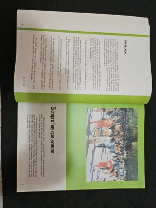 Libro 8 de EGB/el color y la forma