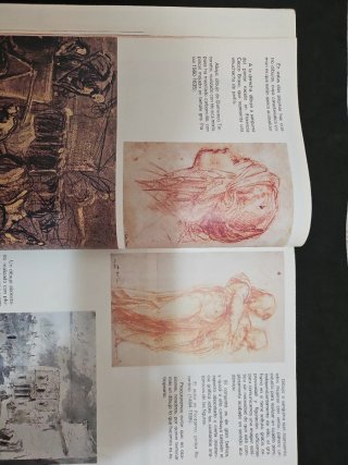 Libro 8 de EGB/el color y la forma