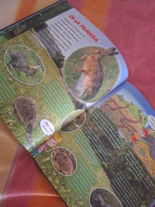 Los animales