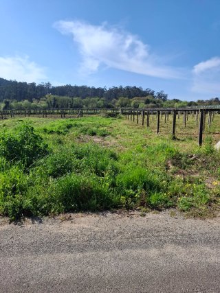 Terreno en alquiler de 700m2 acceso por carretera.