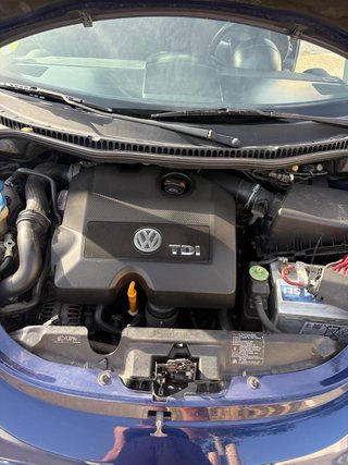 Volkswagen Beetle 2009