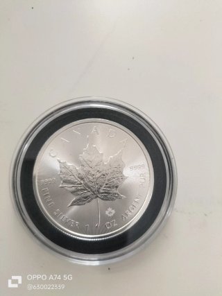 Moneda Arca de Noé 2022 Plata 9999