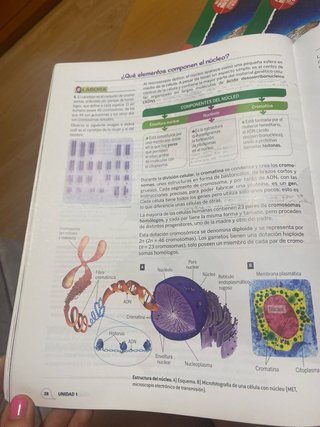 Biología y geología, 3 ESO, Proyecto 5 etapas