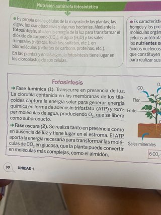 Biología y geología, 3 ESO, Proyecto 5 etapas