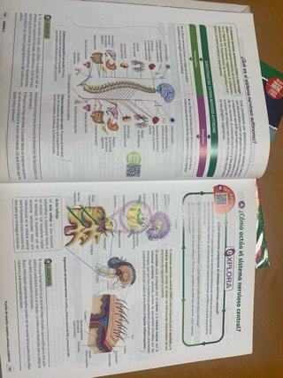 Biología y geología, 3 ESO, Proyecto 5 etapas