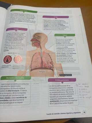 Biología y geología, 3 ESO, Proyecto 5 etapas