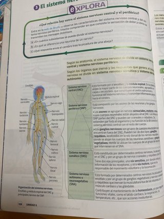 Biología y geología, 3 ESO, Proyecto 5 etapas