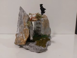Composición terrario