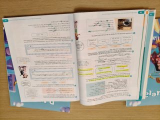 Lengua Castellana y Literatura . 6 Primaria. Tr...