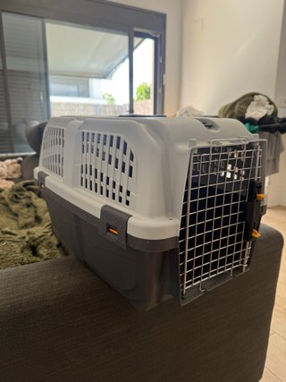 Transportín Outech IATA Apolo Perros Gatos
