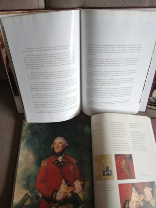 2 libros.museos del mundo y la luzen la pintura