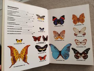 Encyclopédie Des Papillons. Mariposas del Mundo.