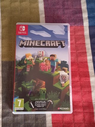 Minecraft Nintendo Switch