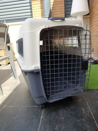 Transportín perro grande con ruedas