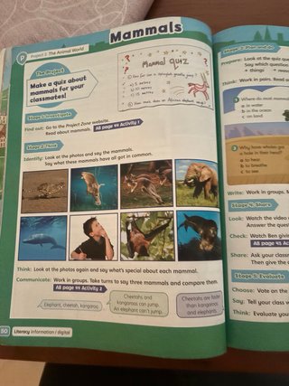 Amazing Rooftops 5 Class Book (Spain)