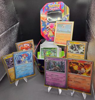 Lote Bulk 260 cartas Pokémon con Lata Charizard