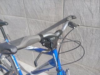 Bicicleta Carratt People