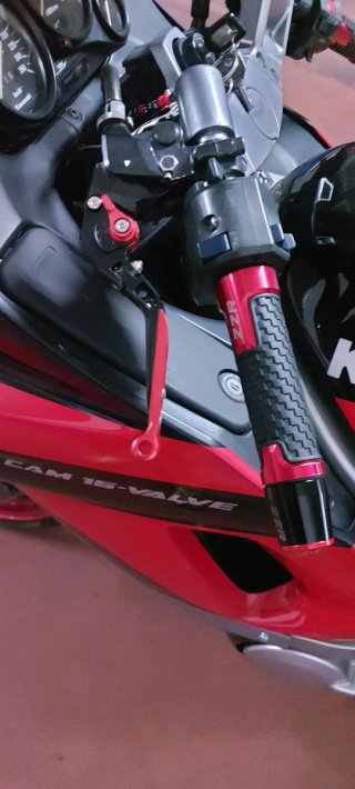 Kawasaki zzr Negra y Roja
