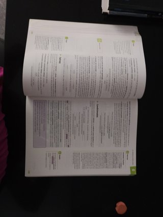 Lengua y Literatura 2 bachillerato