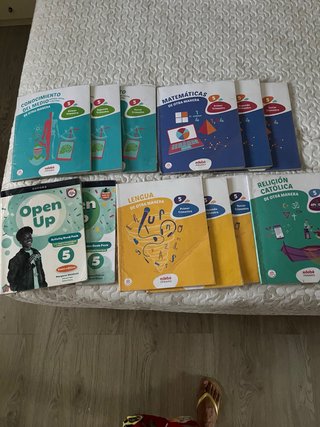Lote de libros de 5 de primaria