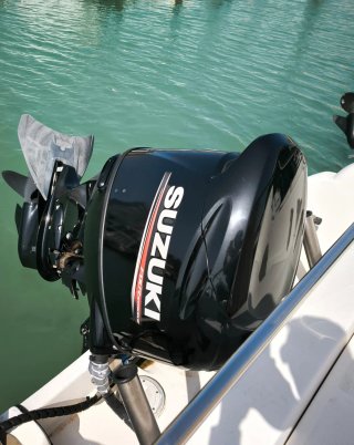 Motor Suzuki 115cv