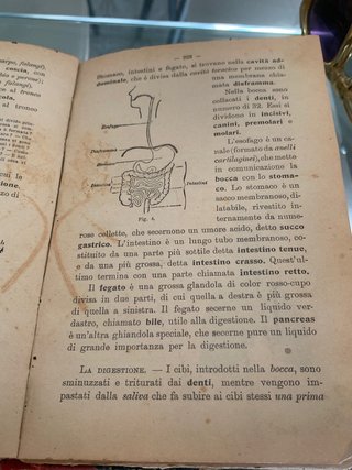 Libro Sussidiario Scuola 1916