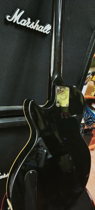 Guitarra Eléctrica Gibson-Baldwin Epoch Les Paul