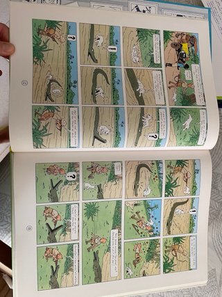 Col.lecció de llibres les aventures de Tintin