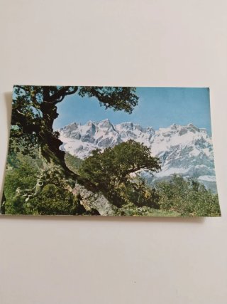 Lote 5 Postales Picos de Europa