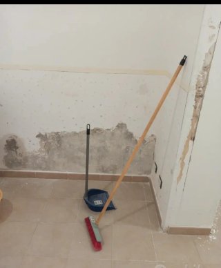 Imbianchino muratore indoratore ecc