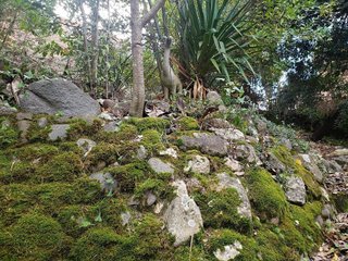Terreno en venta en Guiera - Montflorit en Cerdanyola del Vallès
