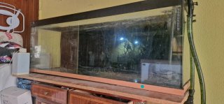 Acuario 300 litros