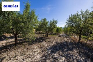 Terreno en venta en Dúrcal