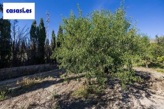 Terreno en venta en Dúrcal