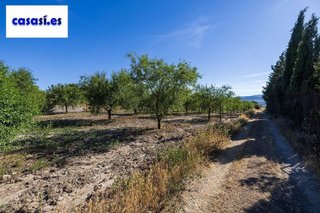 Terreno en venta en Dúrcal