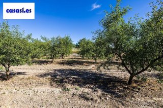 Terreno en venta en Dúrcal