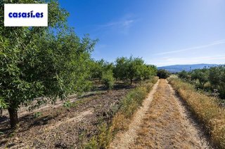 Terreno en venta en Dúrcal