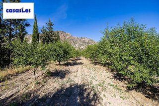 Terreno en venta en Dúrcal