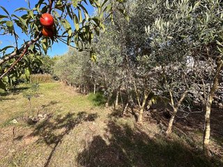 Terreno en venta en Castell (Es)