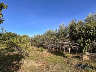 Terreno en venta en Castell (Es)