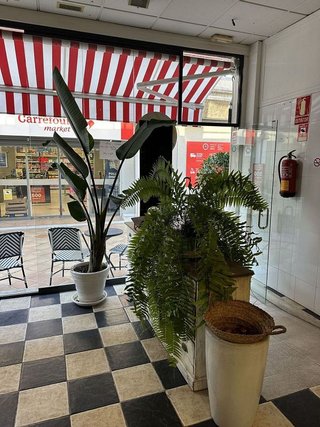 Local comercial en alquiler en Guadalmina en Marbella