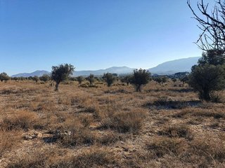 Terreno en venta en San Francisco en Villena