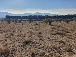 Terreno en venta en San Francisco en Villena