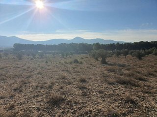 Terreno en venta en San Francisco en Villena