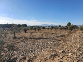 Terreno en venta en San Francisco en Villena
