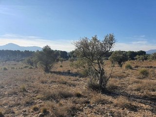 Terreno en venta en San Francisco en Villena