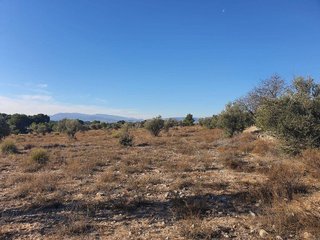 Terreno en venta en San Francisco en Villena