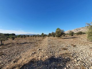 Terreno en venta en San Francisco en Villena