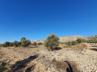 Terreno en venta en San Francisco en Villena